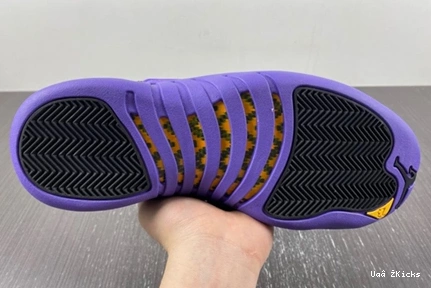 739 Jordan CT8013-057 Retro 12 EasyMatch Air 0731